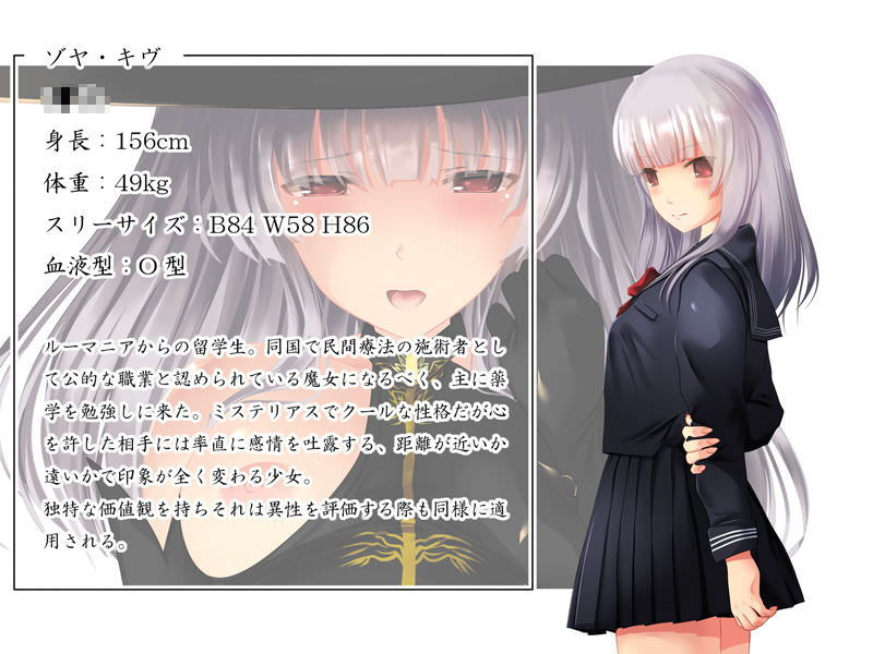 ヒロインのプロフィール2